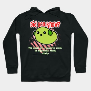 Did you know? 5 Hoodie